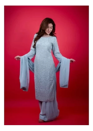 Heavy top with plazo with embroded dupatta 2